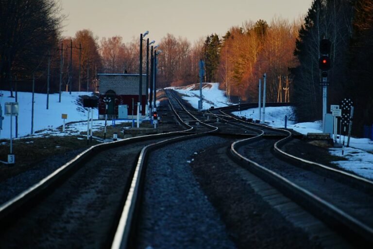 clearline signal dock identifier