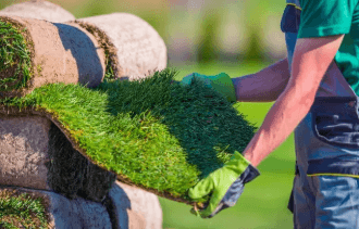 Why Wollongong Homeowners Trust Local Turf Suppliers